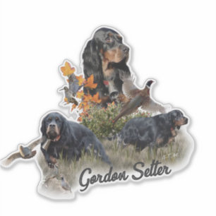 Gordon Setter