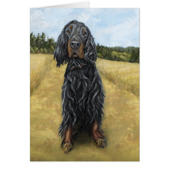 Gordon Setter (Front)