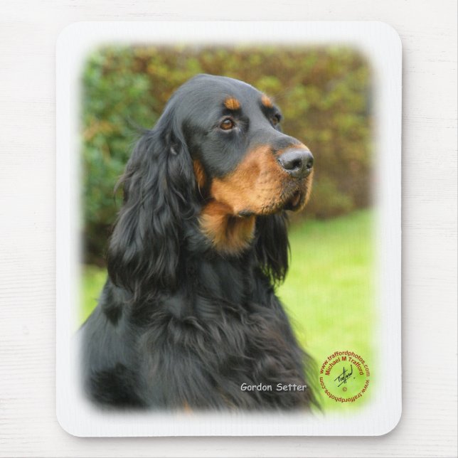 Gordon Setter 9T012D-135 Mouse Pad (Front)