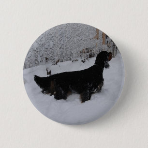 Gordon Setter Button