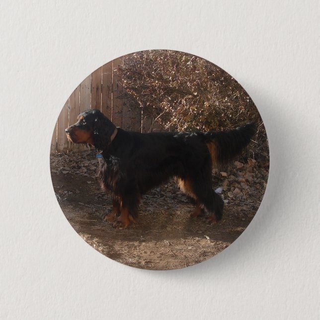Gordon Setter Button (Front)