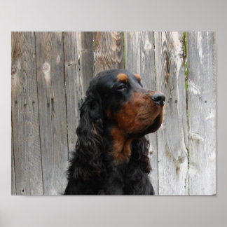 Gordon Setter Canvas Print