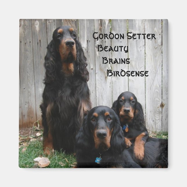 Gordon Setter Generations Magnet (Front)