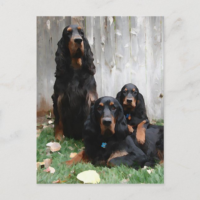 Gordon Setter Generations Painting Postcard (Front)