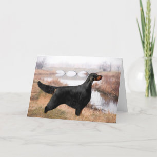Gordon Setter Greeting Cards