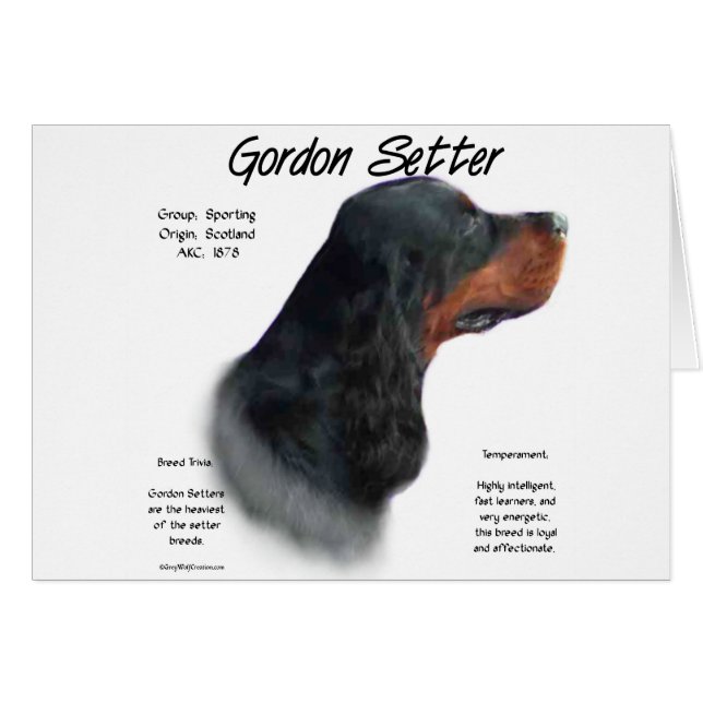 Gordon Setter History Design (Front Horizontal)