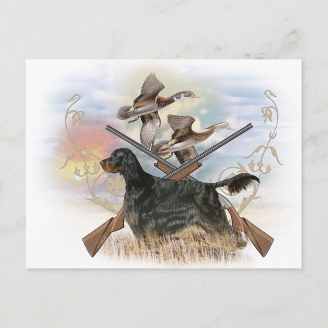 Gordon Setter Hunts Postcard (Front)