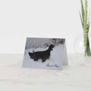 Gordon Setter in a Snowstorm Thank You Note Card