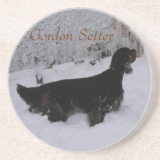 Gordon Setter in Snowstorm Coaster (Front)