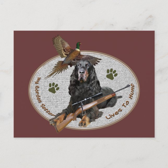 Gordon Setter Lives To Hunt Postcard (Front)