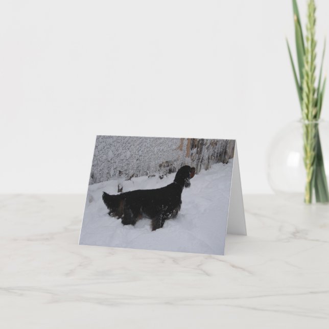 Gordon Setter Note Card (Front)