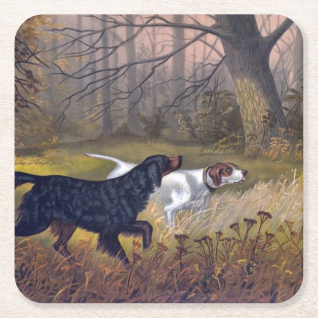 Gordon Setter on Point Coaster (Front)