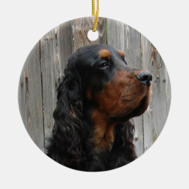 Gordon Setter Photo Ornament (Front)