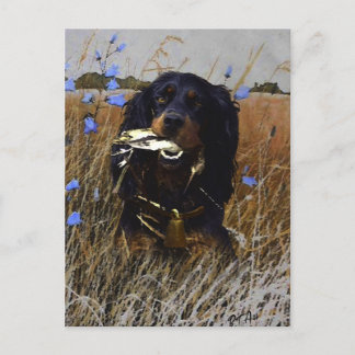 Gordon Setter    Postcard