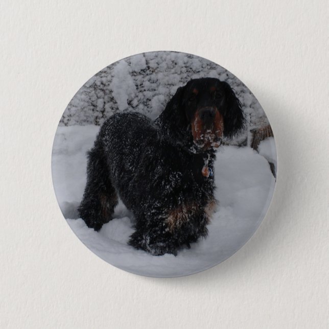 Gordon Setter Puppy Button (Front)