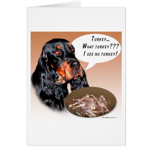 Gordon Setter Turkey (Front)