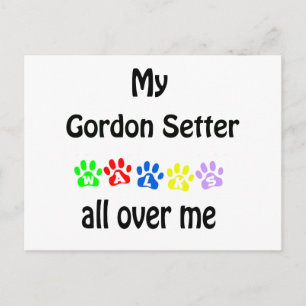 Gordon Setter Walks Design Postcard