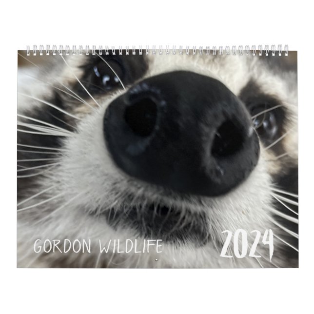 Gordon Wildlife Racoon Calendar 2024 (Cover)