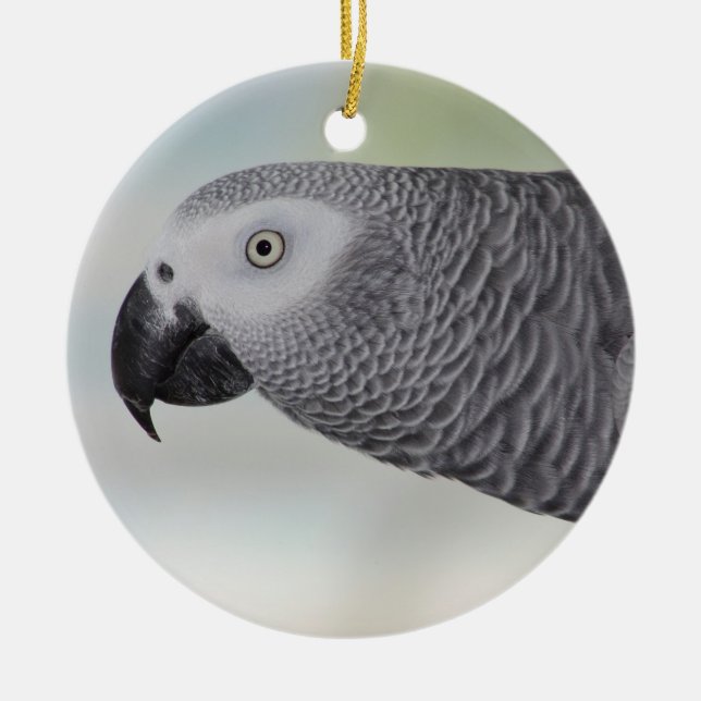 Gorgeous African Grey Parrot Ceramic Tree Decoration (Front)