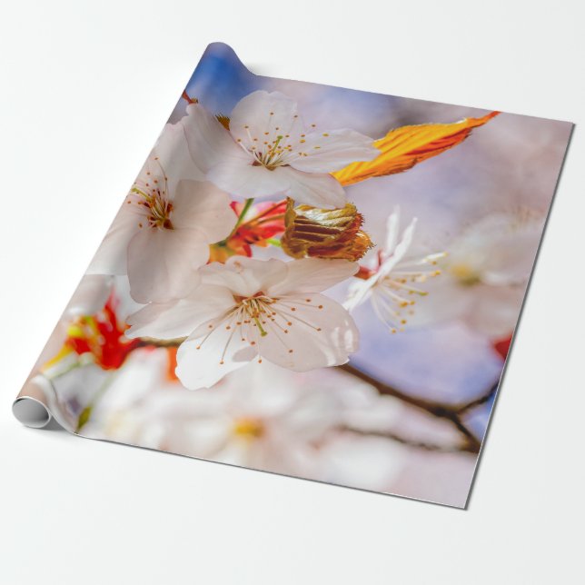 Gorgeous And Elegant Sakura Flowers Wrapping Paper (Unrolled)