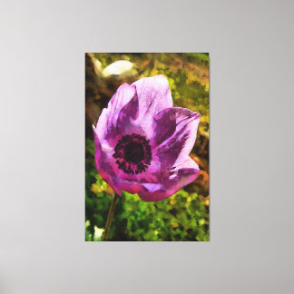 Gorgeous Anemone Coronaria Wildflower Painting Canvas Print