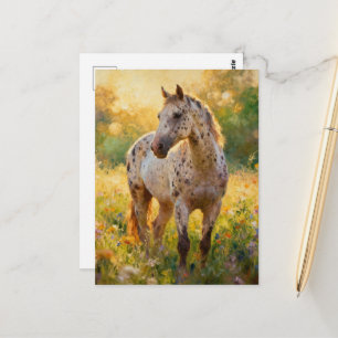 Gorgeous Appaloosa Horse in the Meadow Postcard