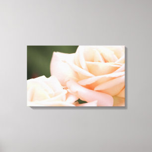 Gorgeous Beige Roses Stretched Canvas Print