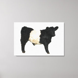 Gorgeous Belted Galloway Steer Cutout Beltie Gift Canvas Print