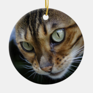 Gorgeous Bengal Cat Ceramic Tree Decoration