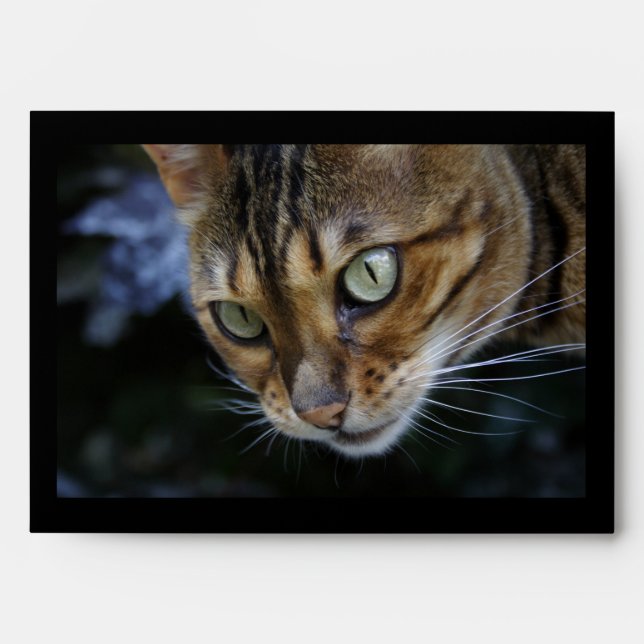 Gorgeous Bengal Cat Envelopes (Front)