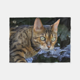 Gorgeous Bengal Cat Fleece Blanket