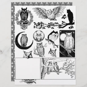 Gorgeous Black & White Line Art Drawings of Owls