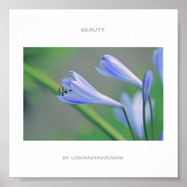 Gorgeous Blue Flowers Beauty Poster (Front)