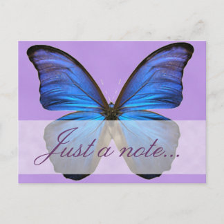 Gorgeous Blue Morpho Butterfly Postcard