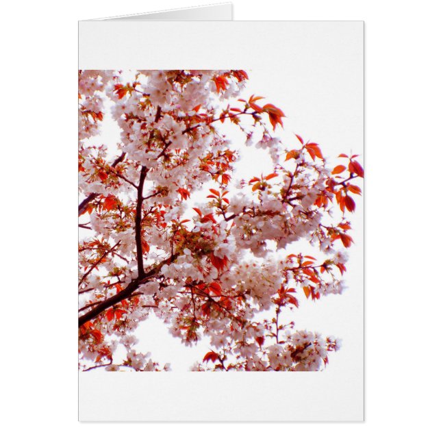 GORGEOUS BOUQUET OF BLOOMS (Front)