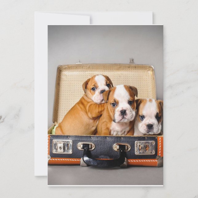 Gorgeous Bulldog Puppies | Dog Lover Holiday Card (Front)