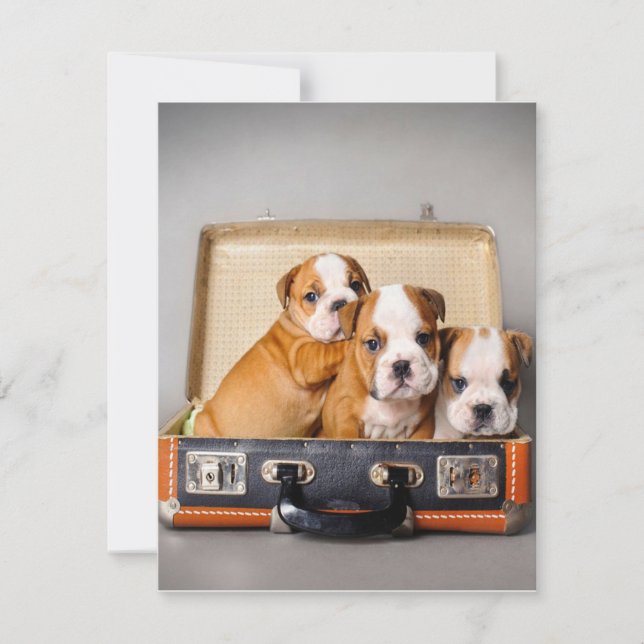 Gorgeous Bulldog Puppies | Dog Lover Invitation (Front)