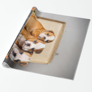 Gorgeous Bulldog Puppies   Dog Lover Wrapping Paper