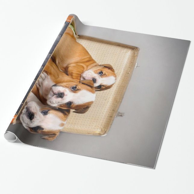 Gorgeous Bulldog Puppies | Dog Lover Wrapping Paper (Unrolled)
