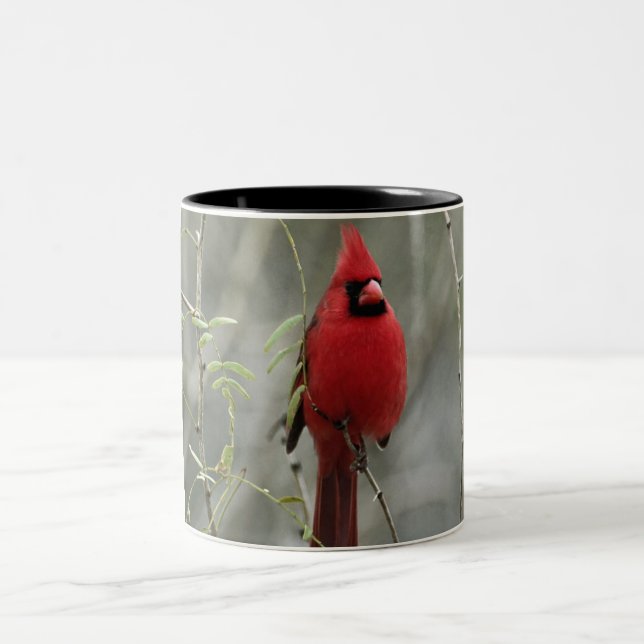 Gorgeous Cardinal Photo-  Mug (Center)