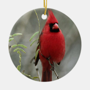 Gorgeous Cardinal Photo-  Ornament