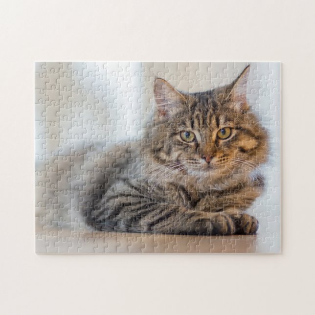 Gorgeous Cat Staring At You Jigsaw Puzzle (Horizontal)