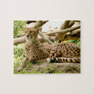 Gorgeous Cheetah Beautiful Cat Photo Jigsaw Puzzle
