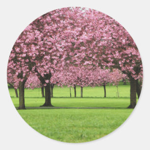 GORGEOUS CHERRY FLORAL CLASSIC ROUND STICKER