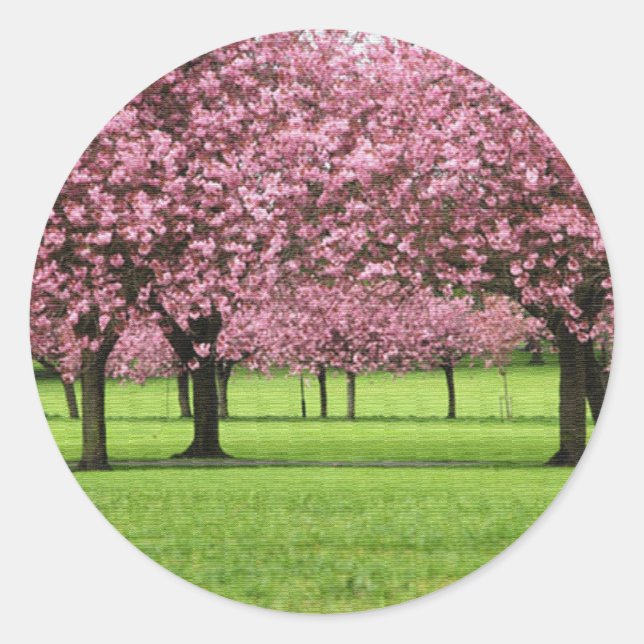GORGEOUS CHERRY FLORAL CLASSIC ROUND STICKER (Front)