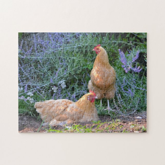 Gorgeous Chicken Puzzle (Horizontal)