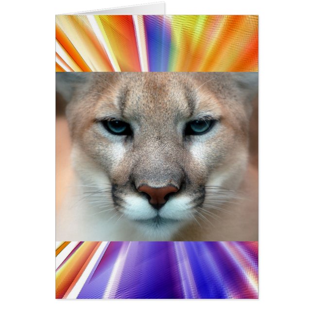 GORGEOUS COUGAR (Front)