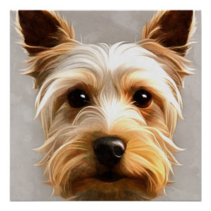 Gorgeous Cute Yorkshire Terrier Puppy Floating Poster