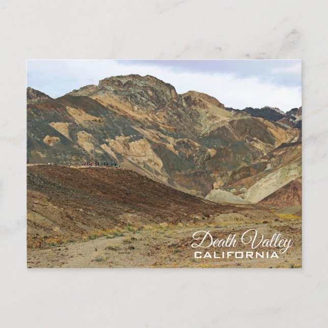 Gorgeous Death Valley Postcard! Postcard (Front)