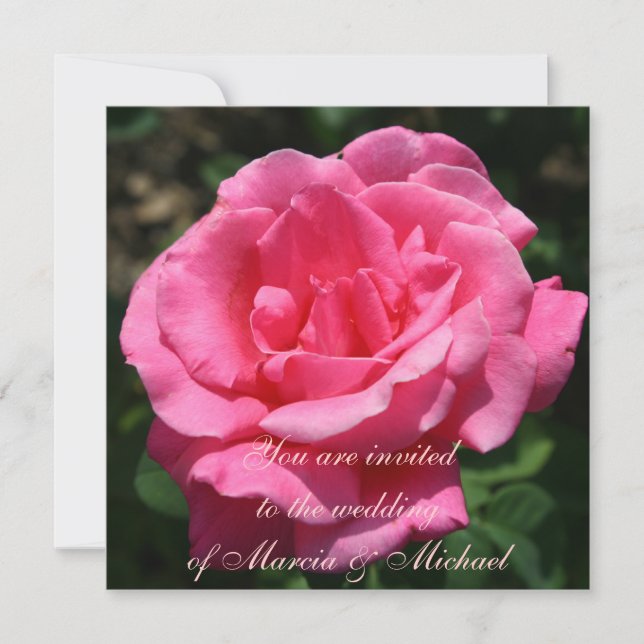 Gorgeous Deep Pink Rose Invitation (Front)